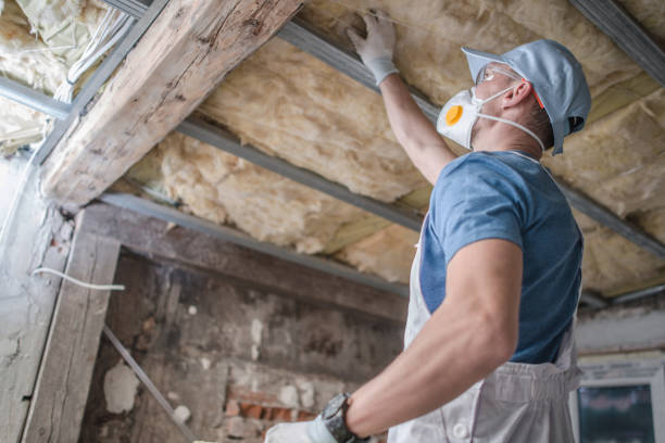 Best DIY Insulation Kits and Guidance in Casselberry, FL