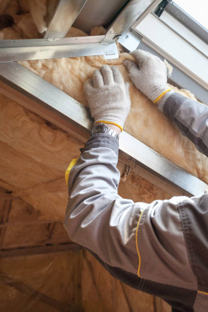 Best Specialized Insulation Services in Casselberry, FL
