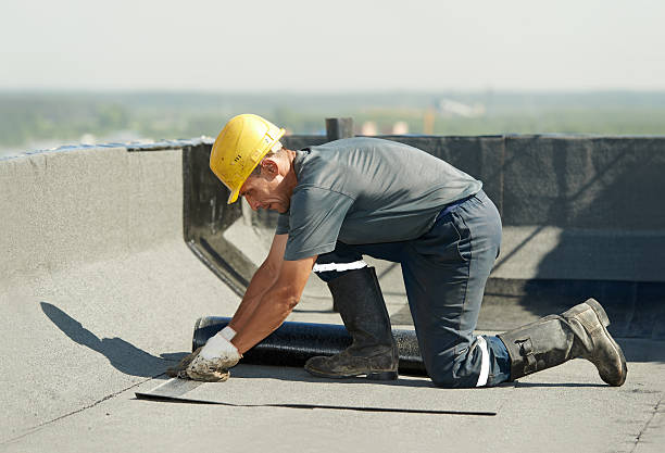 Best Cellulose Insulation in Casselberry, FL